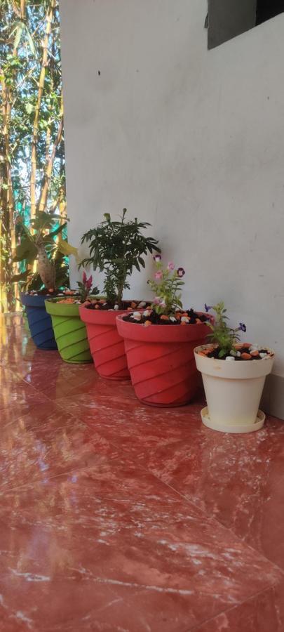 Mahabs Homestay Villa マハーバリプラム エクステリア 写真