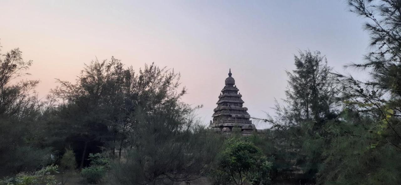 Mahabs Homestay Villa マハーバリプラム エクステリア 写真